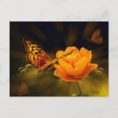Spring Butterfly op Roos Briefkaart (Voorkant)