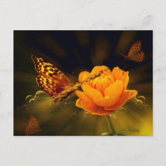 Spring Butterfly op Roos Briefkaart (Voorkant)