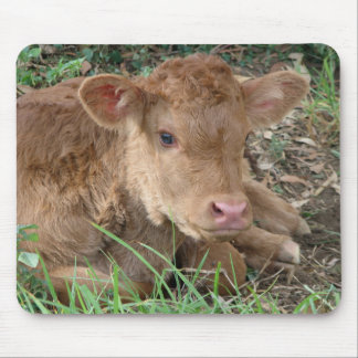 Spring Calf Muismat