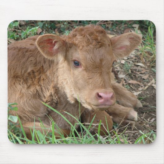 Spring Calf Muismat (Voorkant)