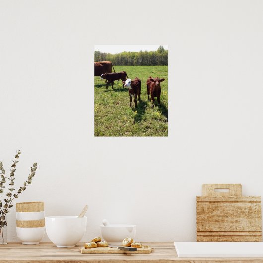 Spring Calves Poster (Keuken)