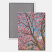 Spring Canopy – Bloesemboom & Blauwe Hemel Schilde Magneet (Voorkant / Achterkant)