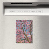 Spring Canopy – Bloesemboom & Blauwe Hemel Schilde Magneet (Insitu (Vaatwasser))
