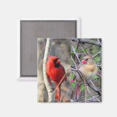 Spring Cardinals Magneet (Voorkant / Achterkant)