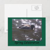 Spring Celebration Briefkaart (Voorkant / Achterkant)