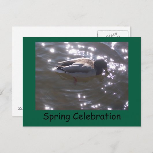 Spring Celebration Briefkaart (Voorkant / Achterkant)