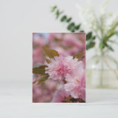 Spring Cherry Blossom Briefkaart (Staand voorkant)