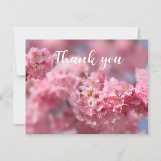Spring Cherry Blossom Floral Sakura Dank u Bedankkaart (Voorkant)