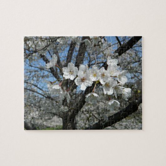 Spring Cherry Blossom Legpuzzel (Horizontaal)