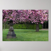 Spring Cherry Blossom Poster (Voorkant)