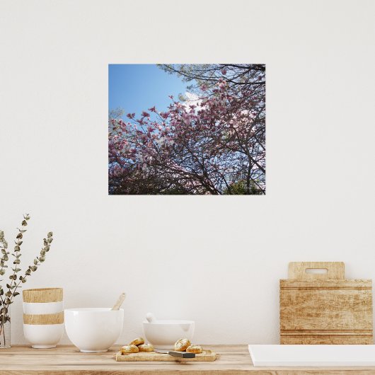 Spring Cherry Blossom Poster (Keuken)