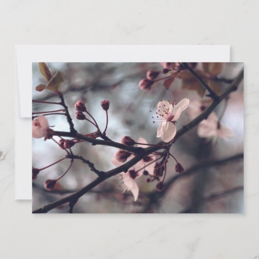 Spring Cherry Blossom Verjaardagsfeestje Uitnodigi Kaart (Achterkant)