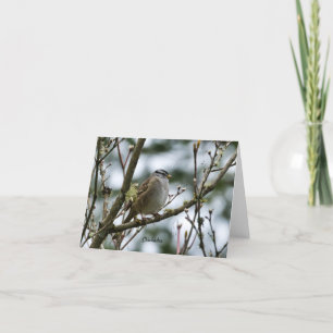 Spring Chickadee Kaart