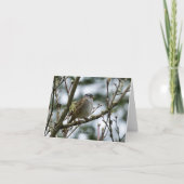 Spring Chickadee Kaart (Voorkant)