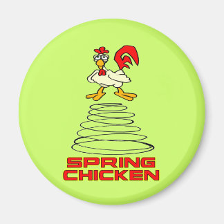 Spring Chicken Magneet