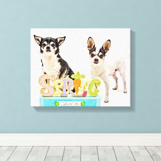 Spring Chihuahua's Canvas Afdruk (Insitu (Houten vloer))