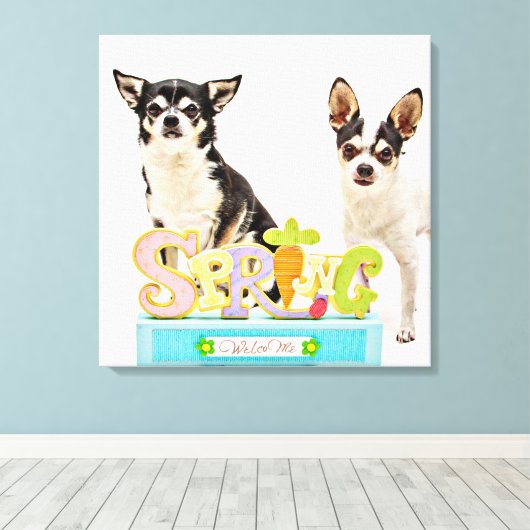 Spring Chihuahua's Canvas Afdruk (Insitu (Houten vloer))