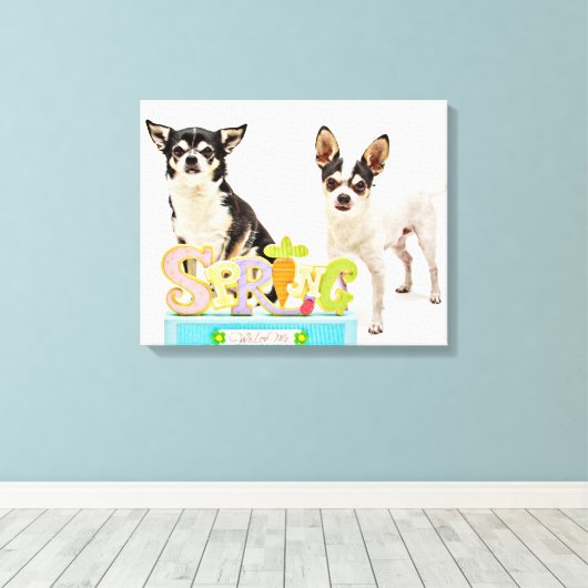 Spring Chihuahua's Canvas Afdruk (Insitu (Houten vloer))