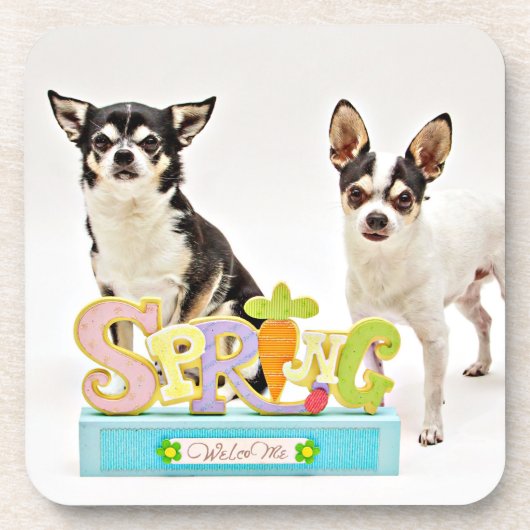 Spring Chihuahua's Drankjes Onderzetter (Voorkant)