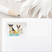 Spring Chihuahua's Etiket (Insitu)