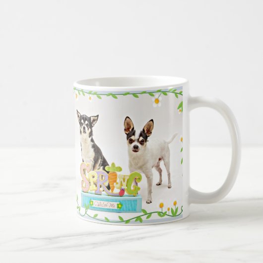 Spring Chihuahua's Koffiemok (Rechts)