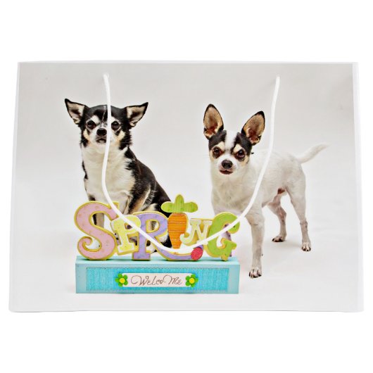 Spring Chihuahua's Large Cadeautasje (Voorkant)