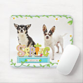 Spring Chihuahua's Muismat (Met muis)