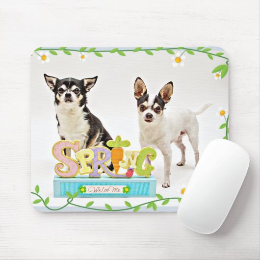Spring Chihuahua's Muismat (Met muis)
