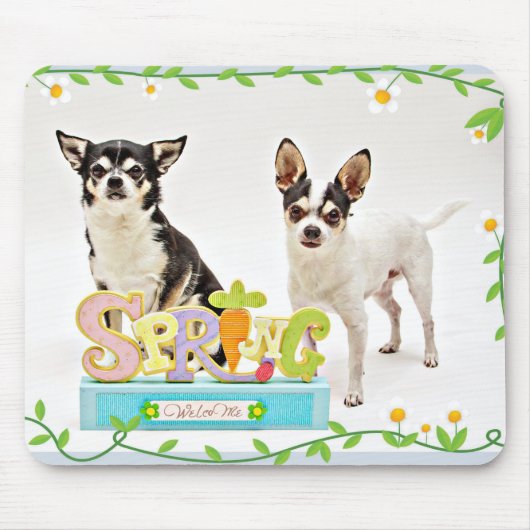 Spring Chihuahua's Muismat (Voorkant)