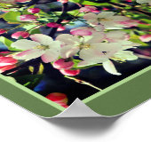 Spring Crabapple Blossoms Abstract Poster (Hoek)