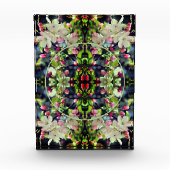 Spring Crabapple Blossoms Lijst Voeg toe Fotoblokken (Voorkant)