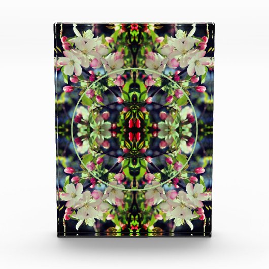 Spring Crabapple Blossoms Lijst Voeg toe Fotoblokken (Voorkant)