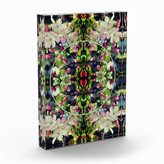 Spring Crabapple Blossoms Lijst Voeg toe Fotoblokken (Links)