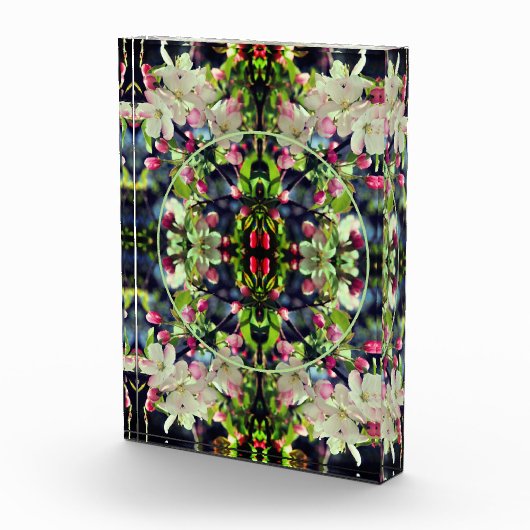 Spring Crabapple Blossoms Lijst Voeg toe Fotoblokken (Rechts)