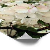 Spring Crabapple Flower Blosems Close Poster (Hoek)