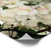Spring Crabapple Flower Blosems Close Poster (Hoek)