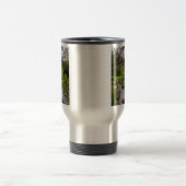 Spring Creek Beauty Reisbeker (Center)