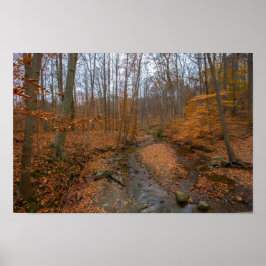 Spring Creek, Cuyahoga Valley NP, Ohio Poster