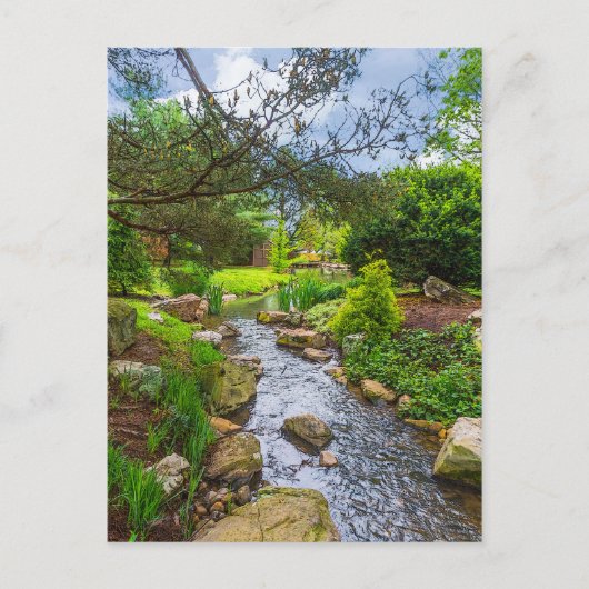 Spring Creek Painterly Briefkaart (Voorkant)