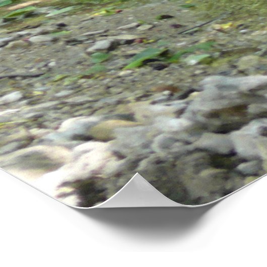 Spring Creek Poster (Hoek)