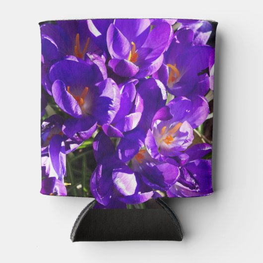 SPRING CROCUS BLIKJESKOELER (Voorkant)