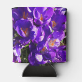 SPRING CROCUS BLIKJESKOELER (Achterkant)