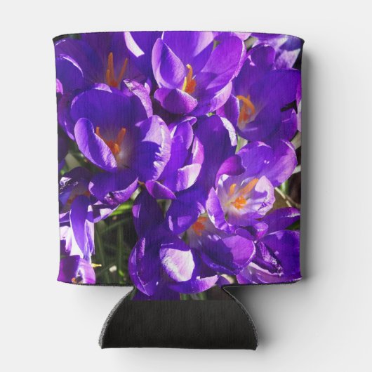 SPRING CROCUS BLIKJESKOELER (Achterkant)