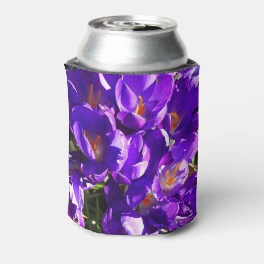 SPRING CROCUS BLIKJESKOELER (Blikje Achterkant)