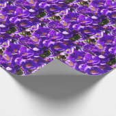 SPRING CROCUS CADEAUPAPIER (Hoek)