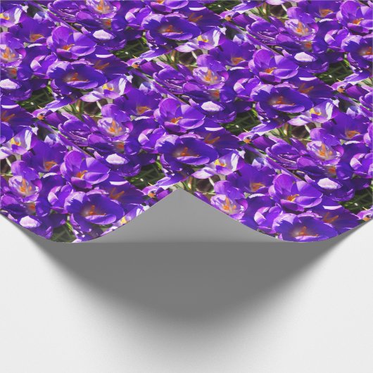 SPRING CROCUS CADEAUPAPIER (Hoek)