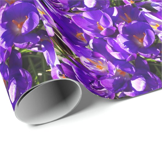 SPRING CROCUS CADEAUPAPIER (Rol Hoek)