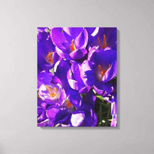 SPRING CROCUS CANVAS AFDRUK (Voorkant)