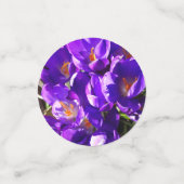 SPRING CROCUS CONFETTI (Kleine voorkant)