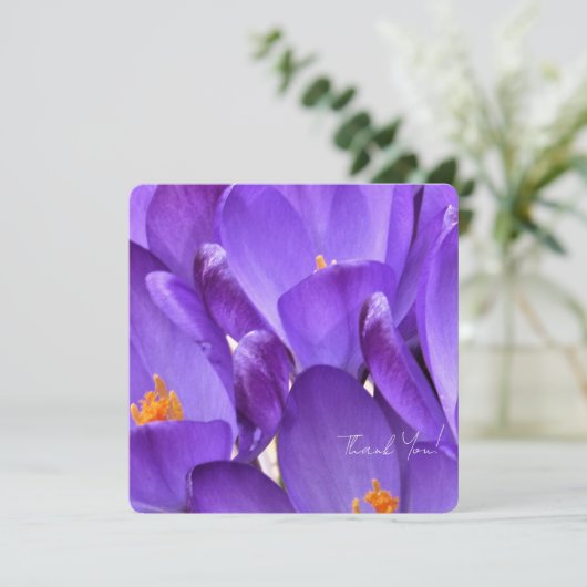Spring Crocus Flower Photography Bedankkaart (Staand voorkant)